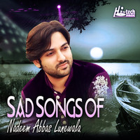 Nadeem Abbas Lunewala - Sad Songs of Nadeem Abbas Lunewala