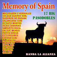 Banda La Alianza - Memory Of Spain