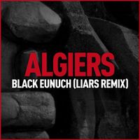 Algiers - Black Eunuch (Liars Remix)