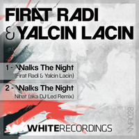 Firat Radi & Yalcin Lacin - Walks the Night