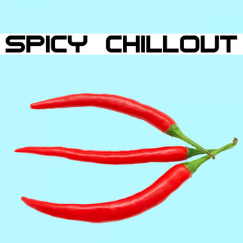 Various Artists - Spicy Chillout