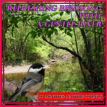 Nature Sounds - Refreshing Birdsong with a Gentle River: 90 Minutes: Nature Sounds