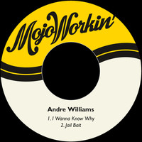 Andre Williams - I Wanna Know Why
