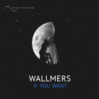 Wallmers - If You Want