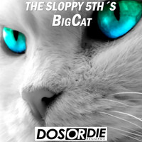 The Sloppy 5th's - Big Cat