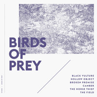 Birds of Prey - Birds of Prey