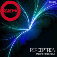 Perceptron - Magnetic Groove