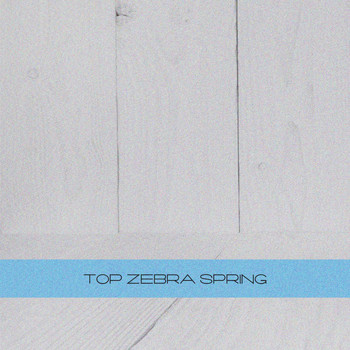 Various Artists - Top Zebra Spring