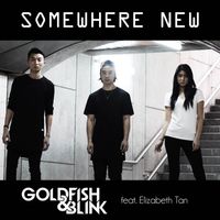 Goldfish & Blink - Somewhere New (feat. Elizabeth Tan)