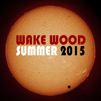 Various Artists - Wake Wood Summer 2015