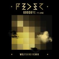 Feder - Goodbye (feat. Lyse) (Wolfskind Remix)
