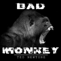 Ted Newtone - Bad Monkey