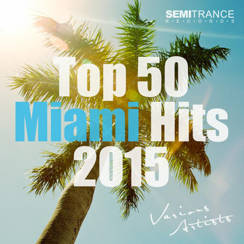 Various Artists - Top 50 Miami Hits 2015