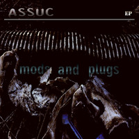 Assuc - Mods and Plugs