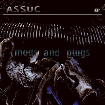 Assuc - Mods and Plugs