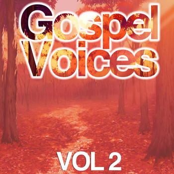 Various Artists - Gospel Voices, Vol. 2