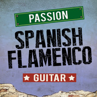 Salsa All Stars|Flamenco Guitar Masters|Latin Passion - Passion: Spanish Flamenco Guitar