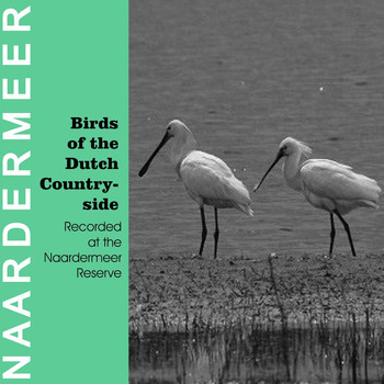The Birds - Birds of the Dutch Countryside