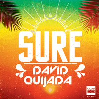 David Quijada - Sure