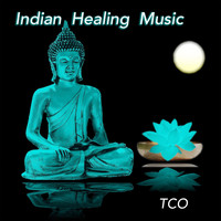 TCO - Indian Healing Music (1 Hour Relaxing Indian Music for Yoga and Meditation Performed on Indian Flutes, Tablas, Sitar, Drums and Chants)