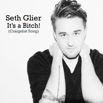 Seth Glier - It's A Bitch! (Craigslist Song)