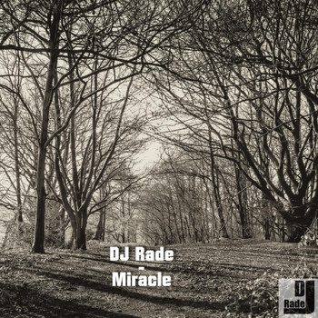DJ Rade - Miracle