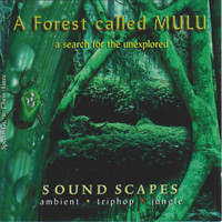 Junkie XL - A Forest Called Mulu