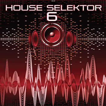 Various Artists - House Selektor, Vol. 6