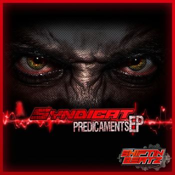 Syndicat - Predicaments