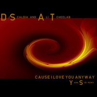 DJ Scaldia & Ali Tcheelab - Cause I Love You Anyway (Yann Sub Remix)