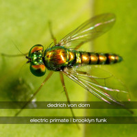 Dedrich Von Dorn - Electric Primate & Brooklyn Funk