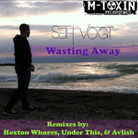 Seth Vogt - Seth Vogt - Wasting Away
