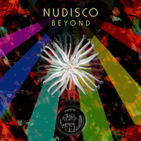 nudisco - Beyond