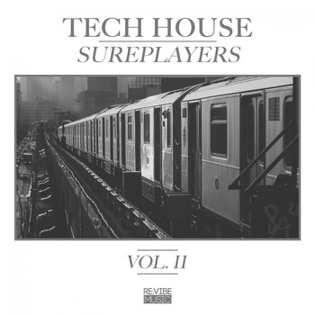 Various Artists - Tech House Sureplayers Vol. 2