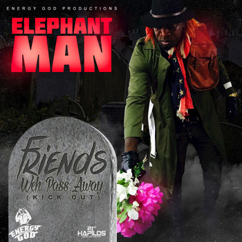 Elephant Man - Friends Weh Pass Away (Kick Out) - Single