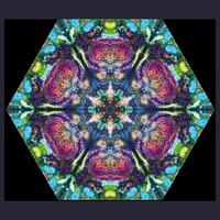 Kaleidoscope - Coming into Focus