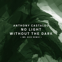 Anthony Castaldo - No Light Without the Dark