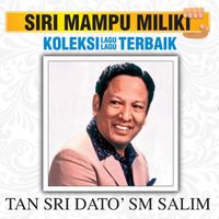 SM Salim - Koleksi Lagu Lagu Terbaik