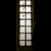 Evitceles - Dilettante