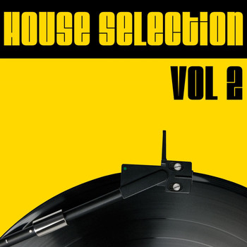 Various Artists - House Selection, Vol. 2