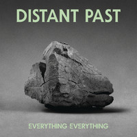 Everything Everything - Distant Past (Alex Metric Remix)