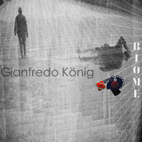 Gianfredo Konig - Biome