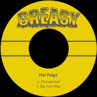 Hal Paige - Thunderbird