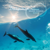 Groove Essence - Dolphins