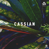 Cassian - Takeover