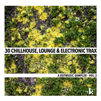 Various Artists - 30 Chillhouse, Lounge & Electronic Trax - A Kutmusic Sampler, Vol. 3
