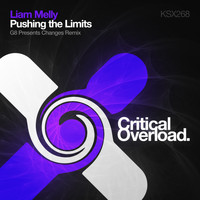 Liam Melly - Pushing The Limits (G8 presents Changes Remix)