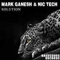 Mark Ganesh & Nic Tech - Solution