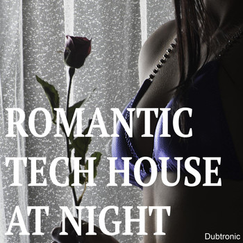 Various Artists - Romantic Tech House at Night