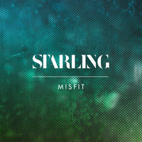 Starling - Misfit